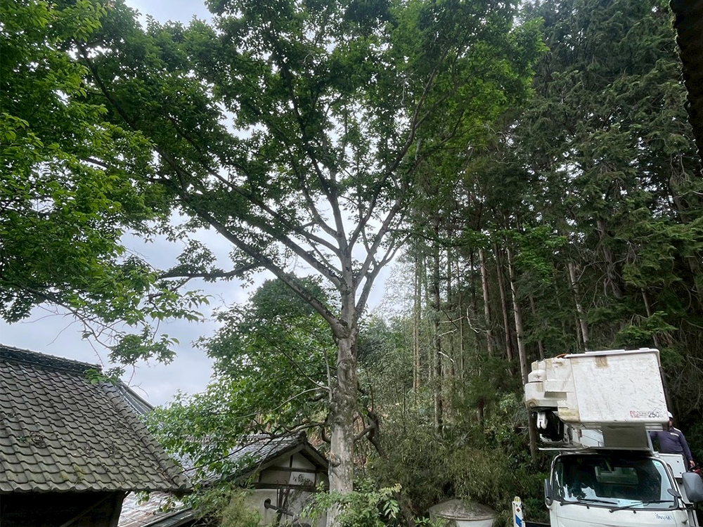 施工事例